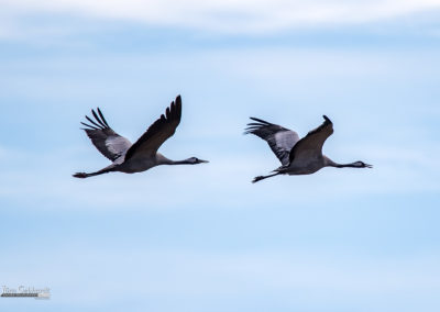 naturfotografie.de