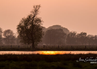 naturfotografie.de - Location Tipps - Naturpark Steinhuder Meer