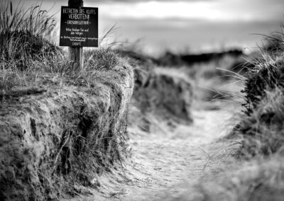 naturfotografie.de - Sylt Nord