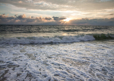naturfotografie.de - Sylt Nord