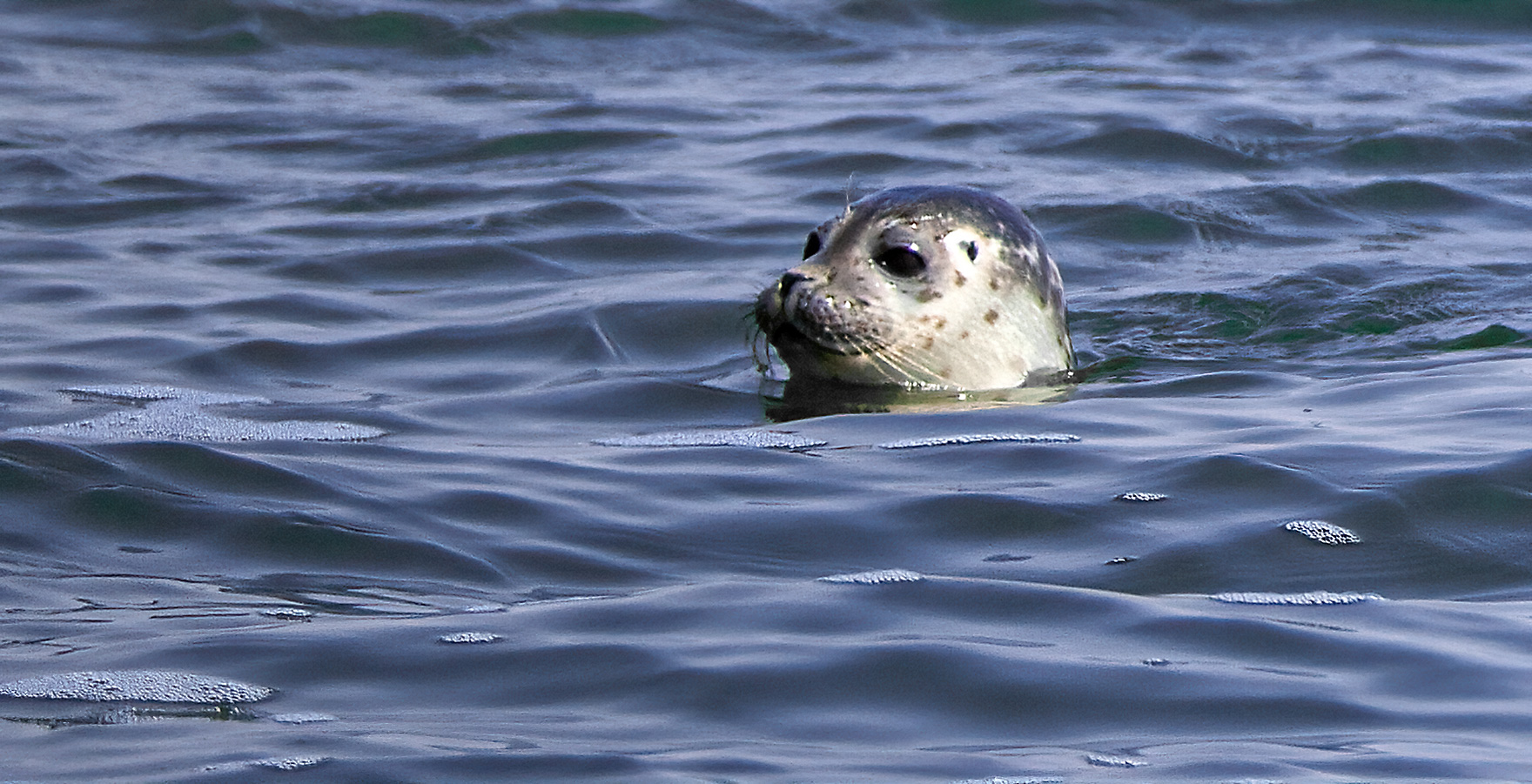 naturfotografie.de - Küste