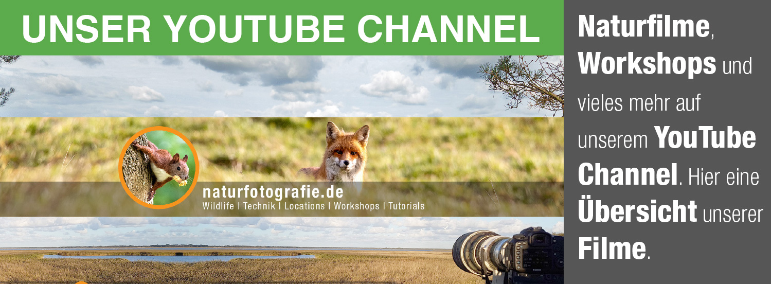 naturfotografie.de - YouTube Channel