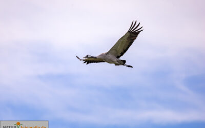 Test 34567