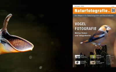 Vogelfotografie – Sonderausgabe 2025
