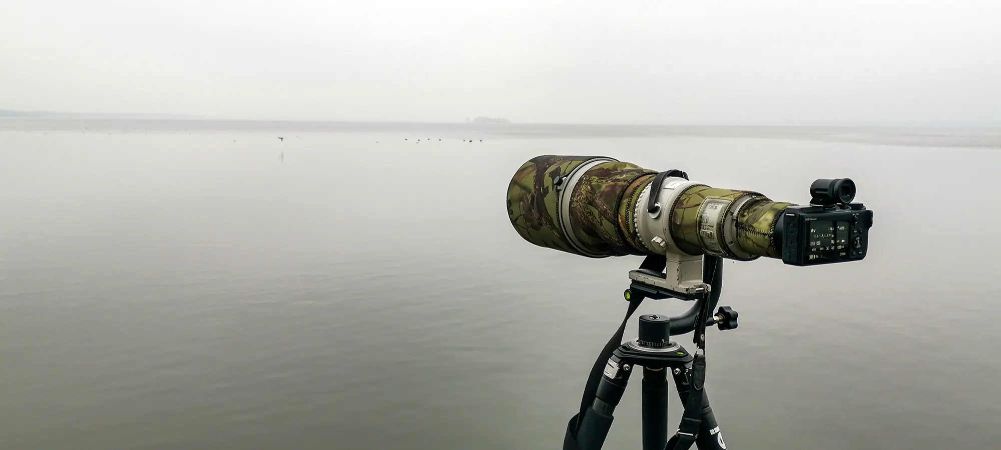 naturfotografie.de Blog - Vogelfotografie - Bei der Arbeit